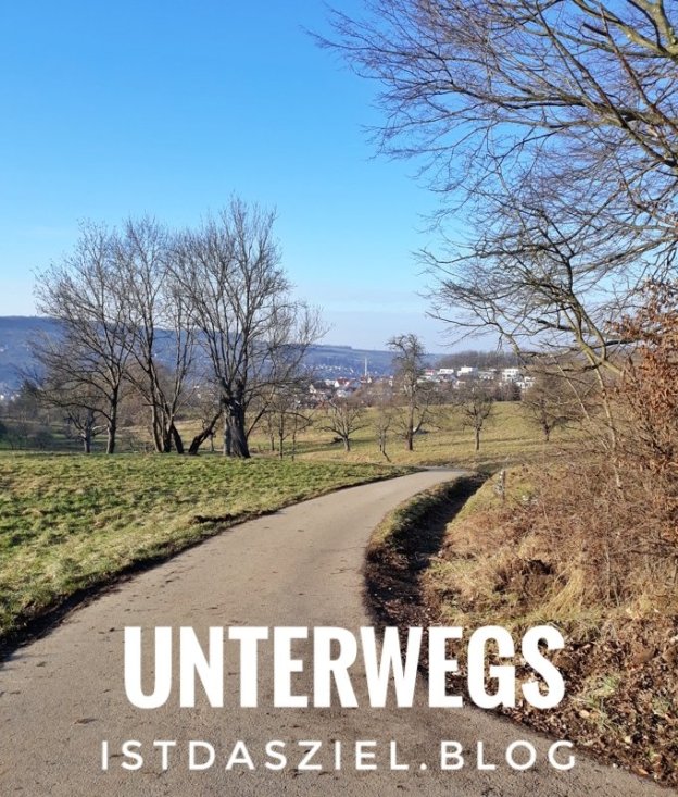 Endlich mal wieder ein langer Waldspaziergang