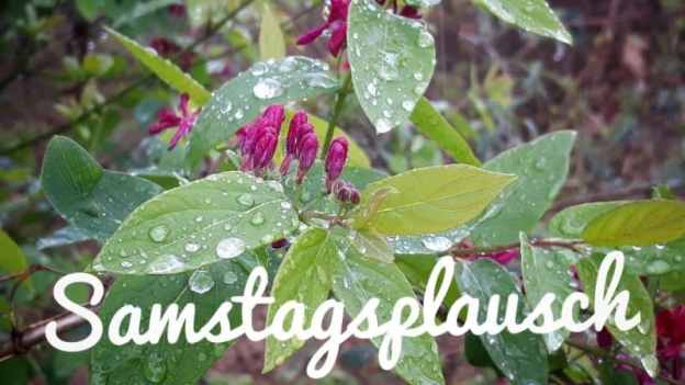 Samstagsplausch am 29.4.2023
