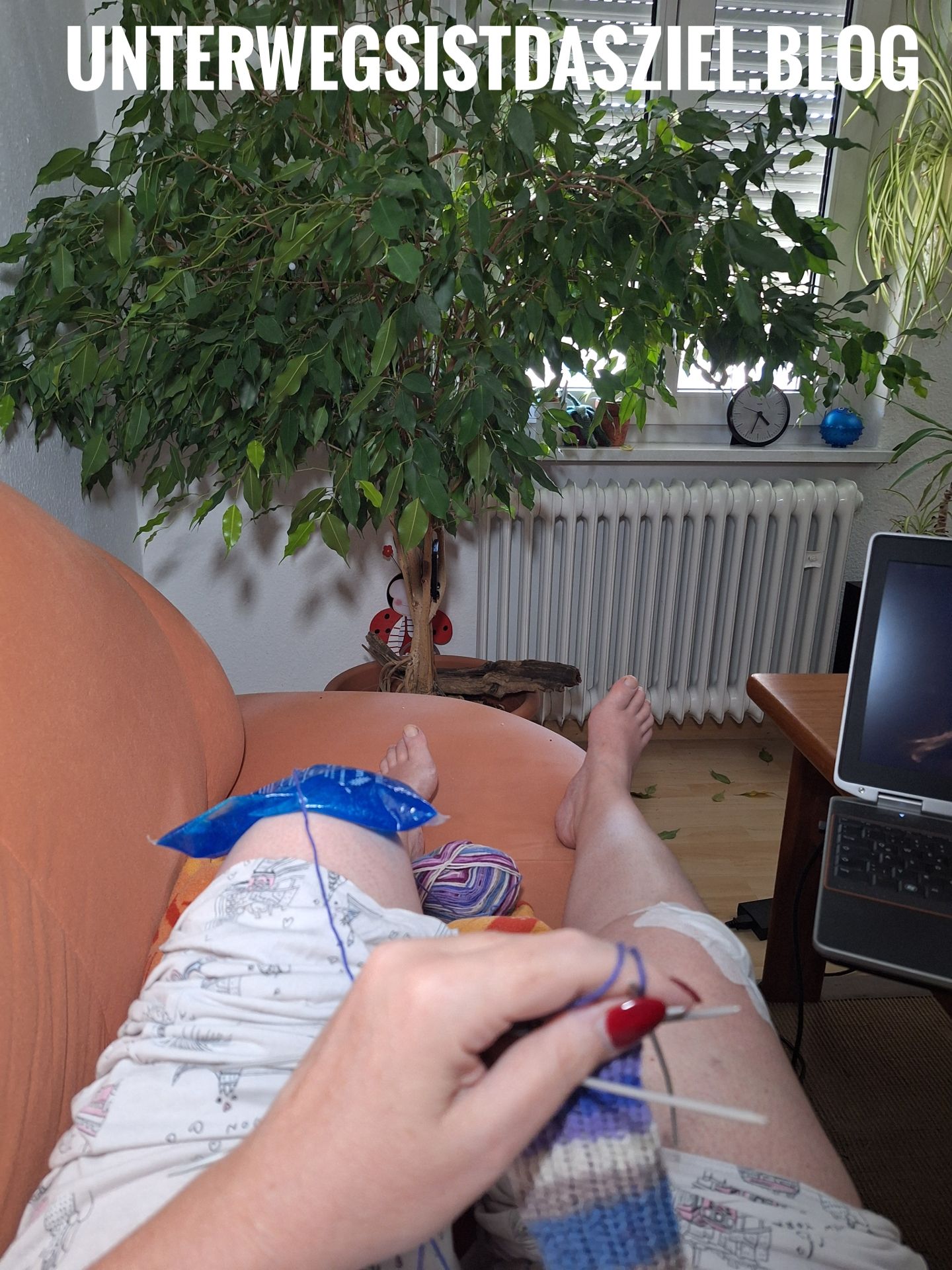 Samstagsplausch Hitze