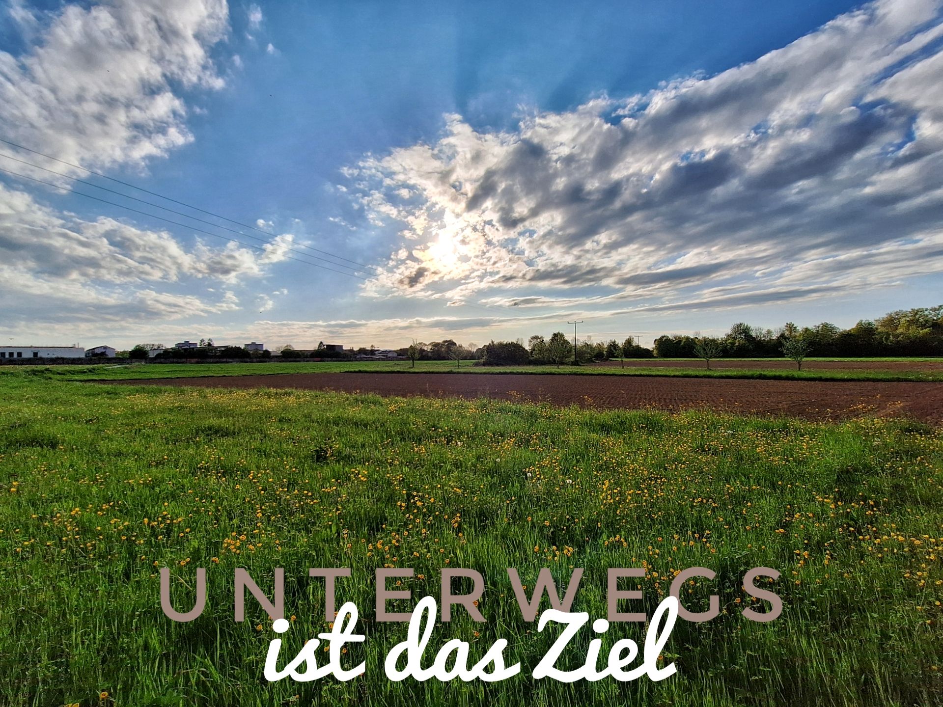 Samstagsplausch am 25.4.